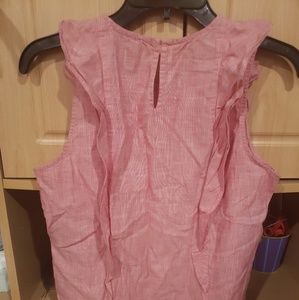 Pink Madewell Ruffle Blouse